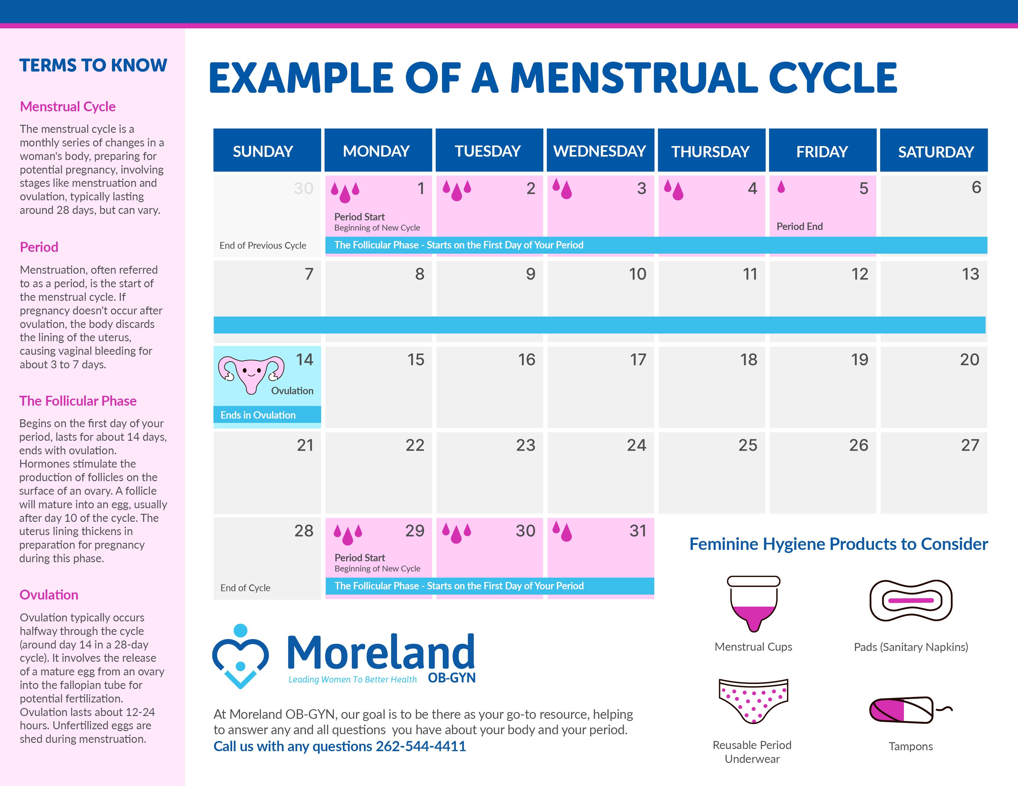 Reasons Women Need Periods: The Role of the Menstrual Cycle in Breast  Health & Development - Natural Womanhood